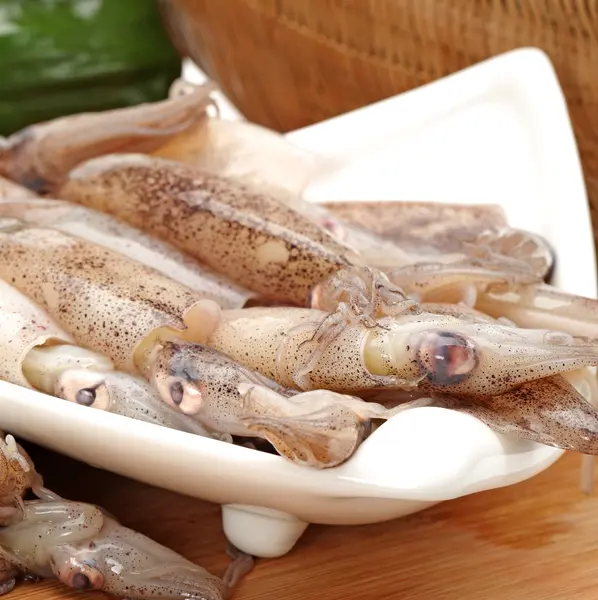 Freshly caught squid — Stock Photo, Image