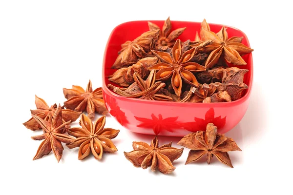 Star anise — Stock Photo, Image