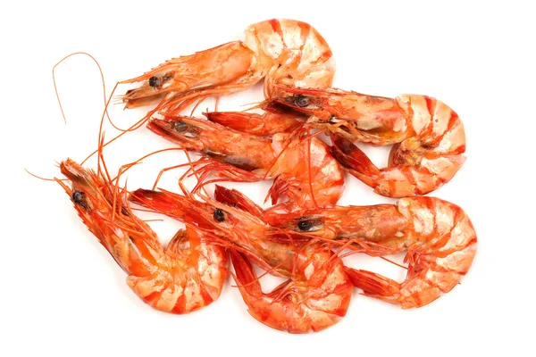 Shrimp on white background. — Stock Photo, Image