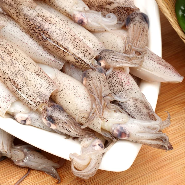 Vers gevangen squid — Stockfoto