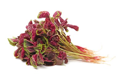 Amaranth