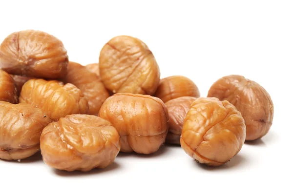 Chestnut — Stock Photo, Image