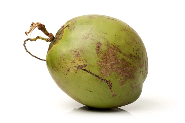Green coconut Stock Photos, Royalty Free Green coconut Images | Depositphotos Green coconut Stock Photos, Royalty Free Green coconut Images | Depositphotos