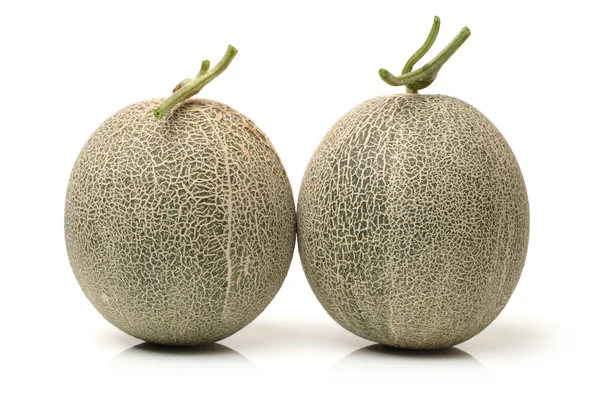 Netted melon on white background — Stock Photo, Image