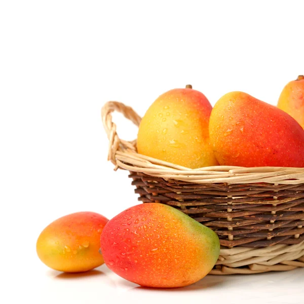 Mango — Zdjęcie stockowe