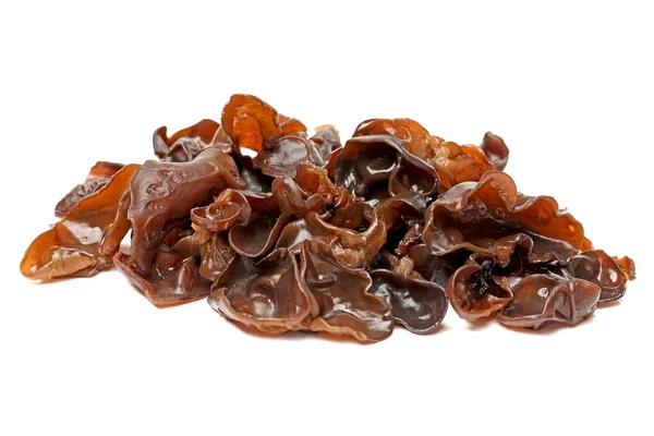 Black fungus — Stock Photo, Image