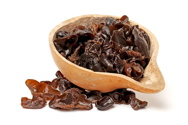 Black fungus — Stock Photo, Image