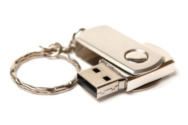 taşınabilir flash disk belleği
