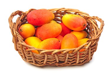 mango