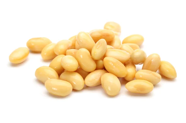 Soybean — Stock Photo, Image