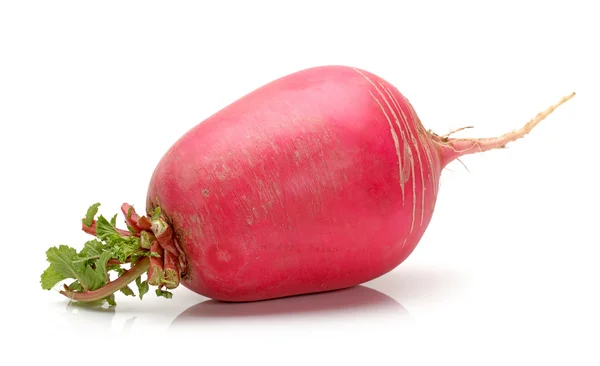 Red radish — Stock Photo, Image