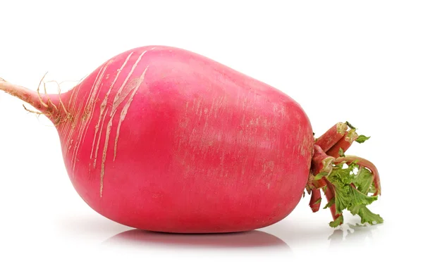 Red radish — Stock Photo, Image