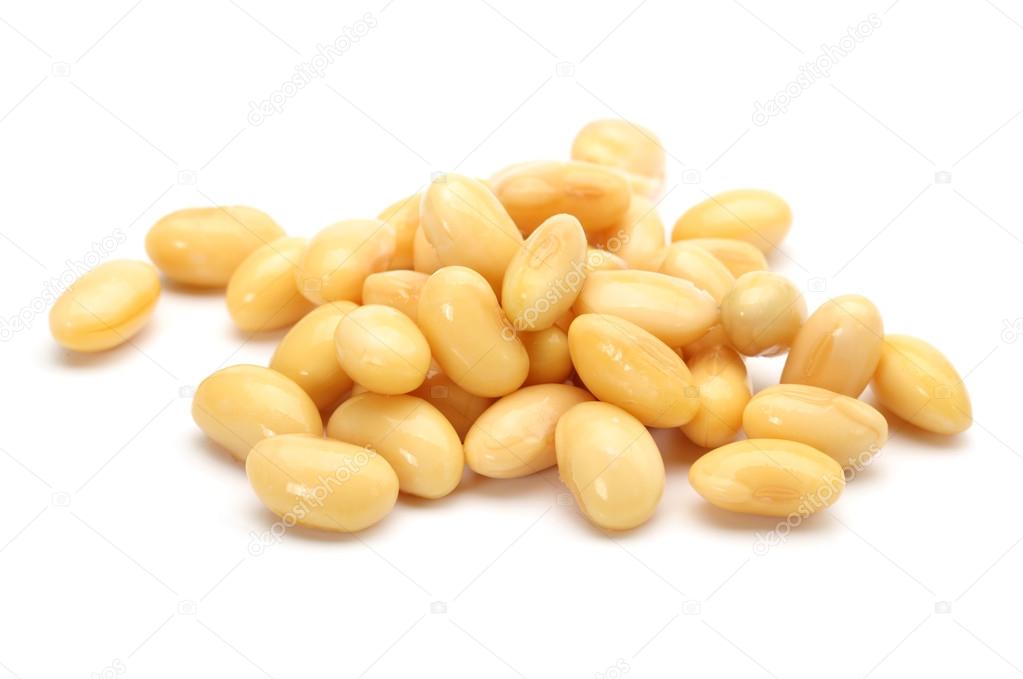 Soybean