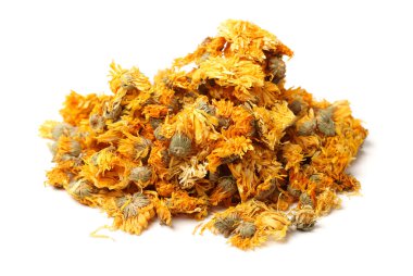 kasımpatı çiçekleri beyaz zemin üzerine kurutulmuş