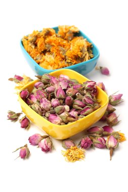sarı Kasımpatı çiçeği çay ve çay gül çiçek