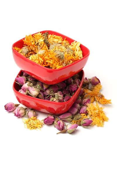 Yellow chrysanthemum flower tea and tea rose flowers — Stock Photo, Image