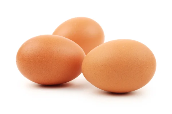 Egg — Stock Photo, Image