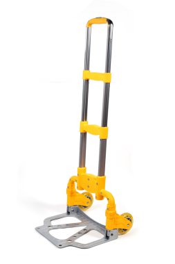 Sarı dolly