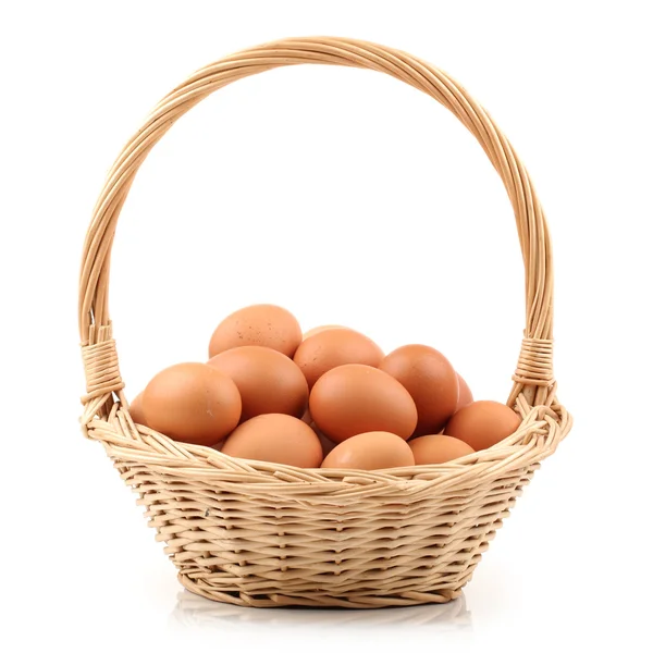 Recogida de huevos — Foto de Stock