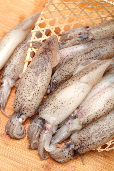 Freshly caught squid — Stock Photo, Image