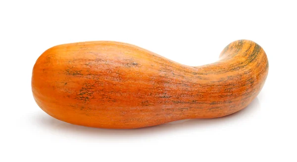 Whole pumpkin — Stock Photo, Image