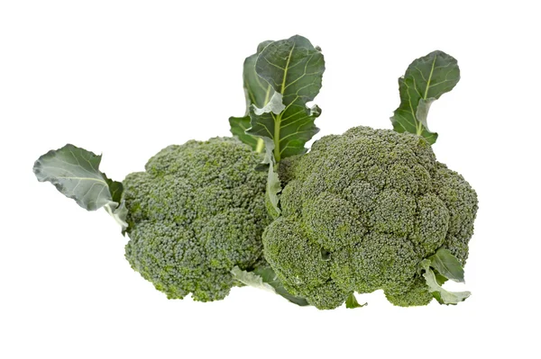 Cavoli broccoli maturi — Foto Stock