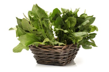 Ispanak üzerinde beyaz arka plan