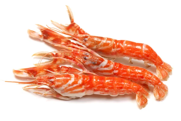 Shrimp on white background — Stock Photo, Image