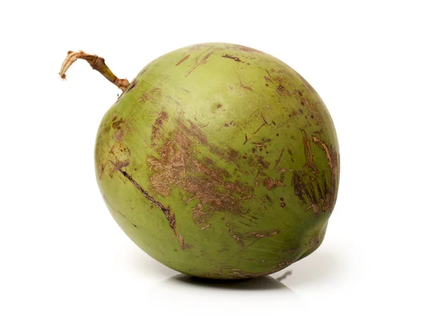Fruta de coco sobre fundo branco — Fotografia de Stock