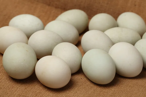 Huevos de pato —  Fotos de Stock