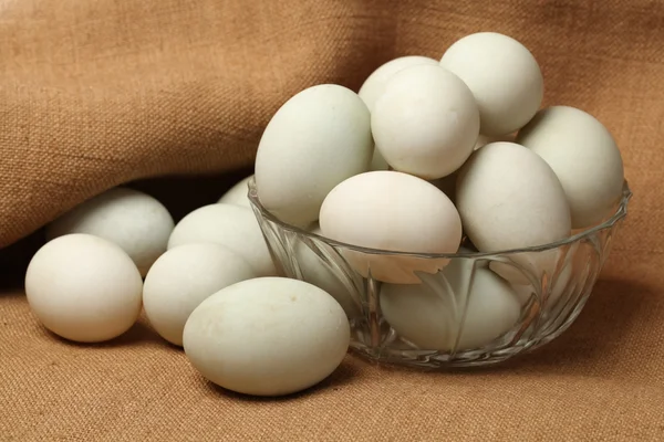 Αυγά πάπιας — Φωτογραφία Αρχείου