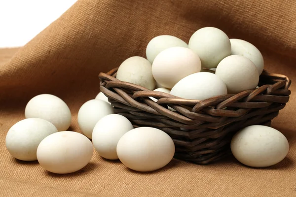 Huevos de pato — Foto de Stock