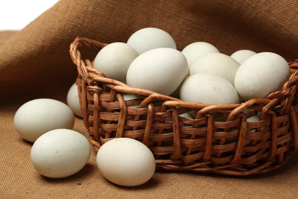 Duck eggs — Stock Photo, Image