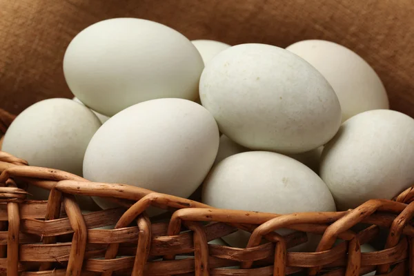 Duck eggs — Stock Photo, Image