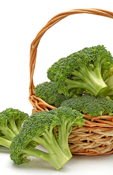 Broccoli isolated on white background — Stock Photo, Image