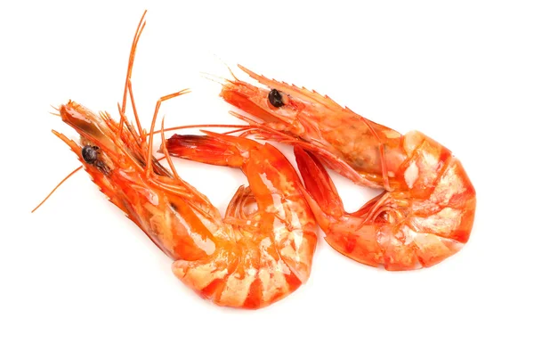 Fresh shrimp isolated on a white background — Stock Photo, Image