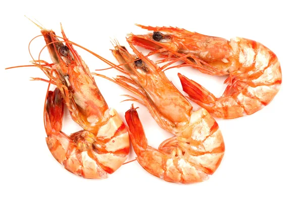 Fresh shrimp isolated on a white background — Stock Photo, Image