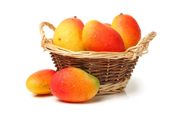 Mangos auf weißem Hintergrund — Stockfoto