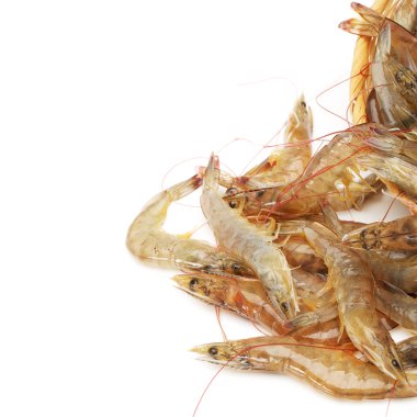 Beyaz arkaplanda çiğ karides izole edildi