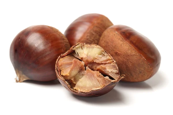 Sweet chestnut on white background — Stock Photo, Image