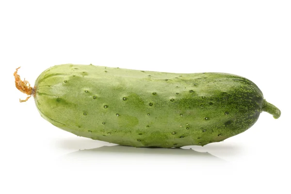Groene komkommer op de witte achtergrond — Stockfoto