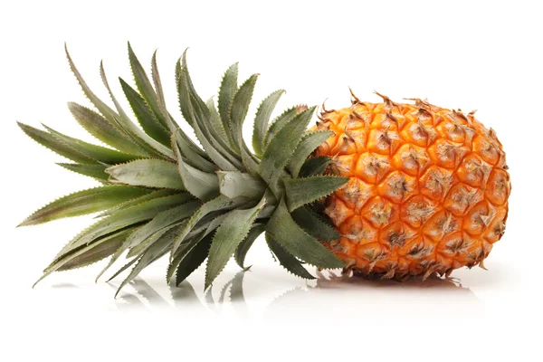 Pineapple on white background — Stock Photo, Image