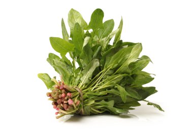 Ispanak üzerinde beyaz arka plan