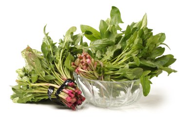 Ispanak üzerinde beyaz arka plan