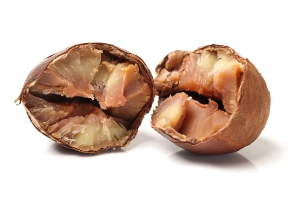 Sweet chestnut on white background — Stock Photo, Image
