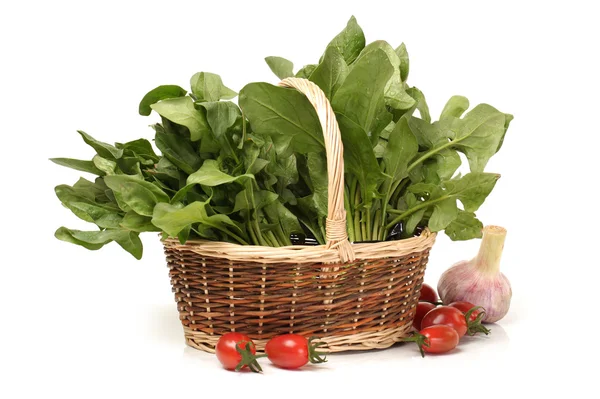 Spinach on white background — Stock Photo, Image