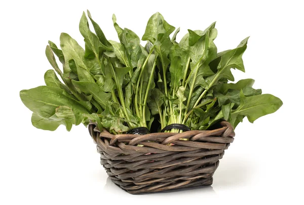 Spinach on white background — Stock Photo, Image