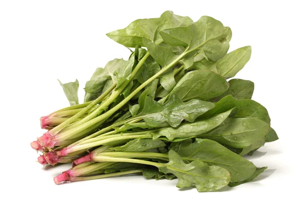 Spinach on white background — Stock Photo, Image