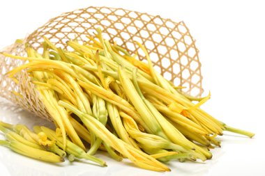 beyaz zemin üzerine daylily