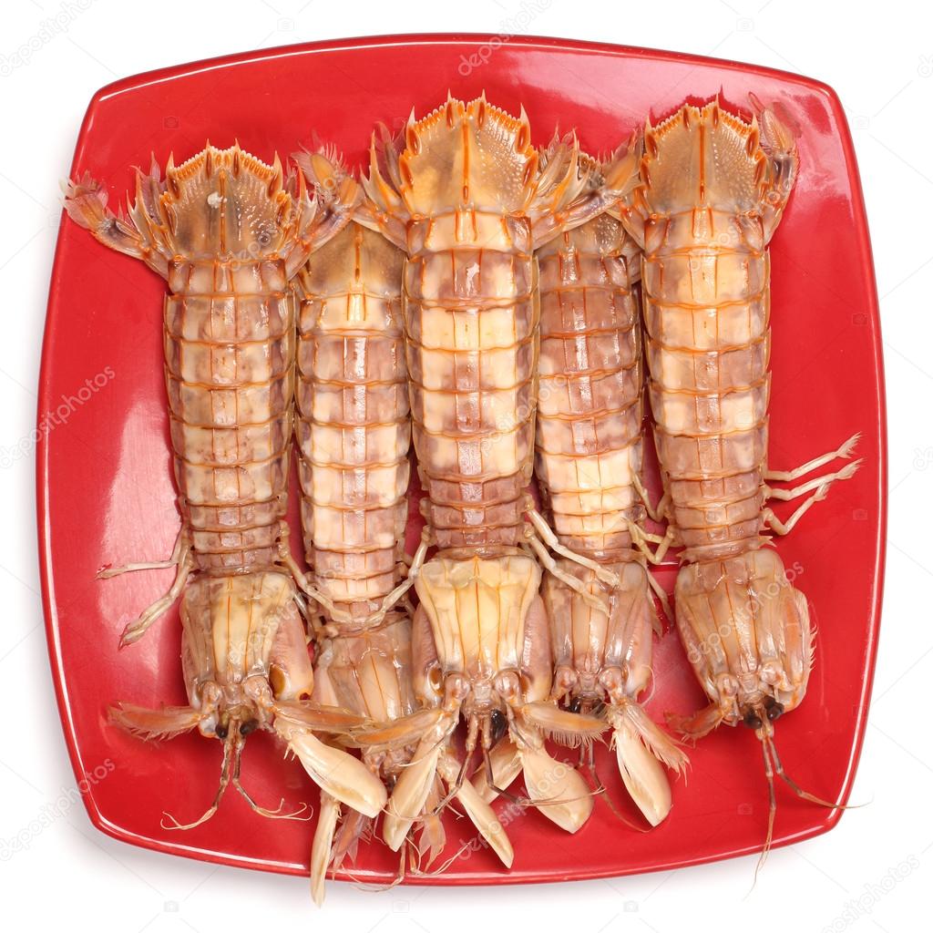 Mantis Shrimp on the white background Stock Photo by ©jianghongyan 28148953